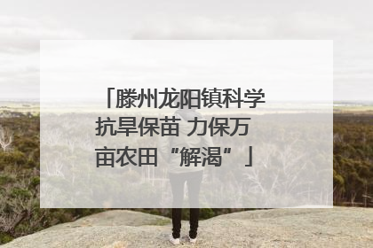 滕州龙阳镇科学抗旱保苗 力保万亩农田“解渴”