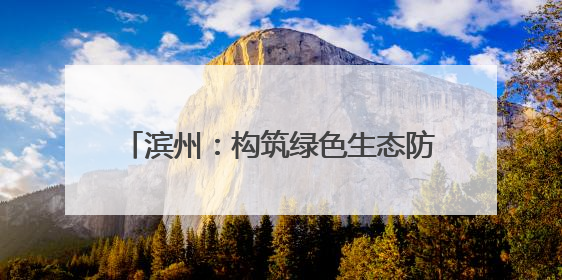 滨州：构筑绿色生态防护体系 推动黄河流域生态保护和高质量发展