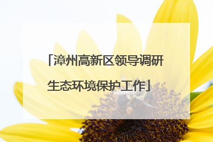 漳州高新区领导调研生态环境保护工作