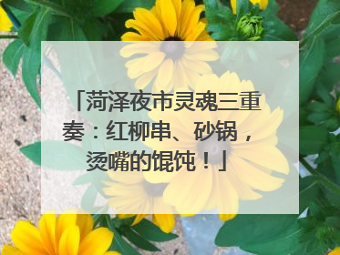 菏泽夜市灵魂三重奏：红柳串、砂锅，烫嘴的馄饨！