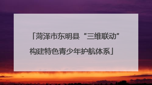 菏泽市东明县“三维联动”构建特色青少年护航体系