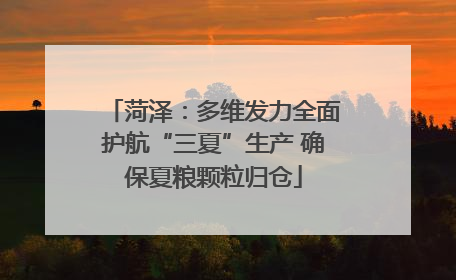 菏泽：多维发力全面护航“三夏”生产 确保夏粮颗粒归仓