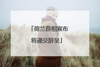 荷兰首相宣布将递交辞呈