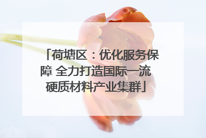 荷塘区：优化服务保障 全力打造国际一流硬质材料产业集群