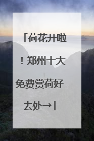 荷花开啦！郑州十大免费赏荷好去处→