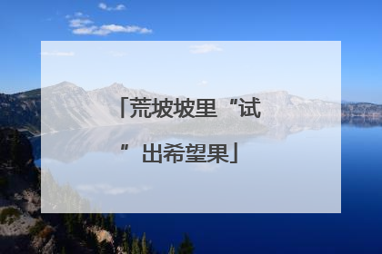 荒坡坡里“试”出希望果