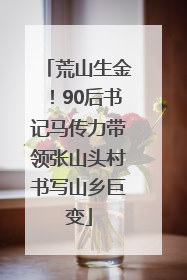 荒山生金！90后书记马传力带领张山头村书写山乡巨变