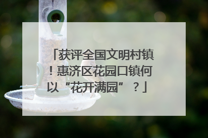 获评全国文明村镇！惠济区花园口镇何以“花开满园”？