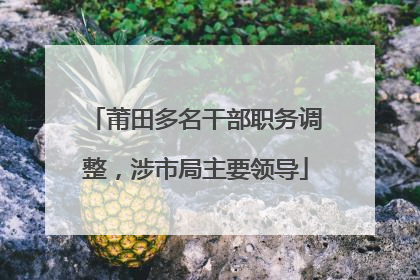 莆田多名干部职务调整，涉市局主要领导