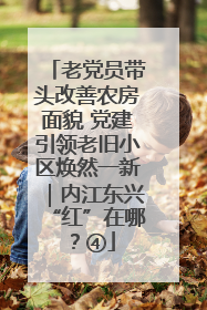 老党员带头改善农房面貌 党建引领老旧小区焕然一新｜内江东兴“红”在哪？④