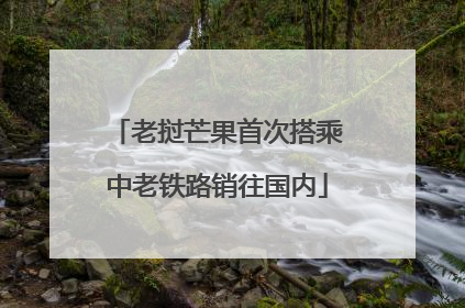 老挝芒果首次搭乘中老铁路销往国内
