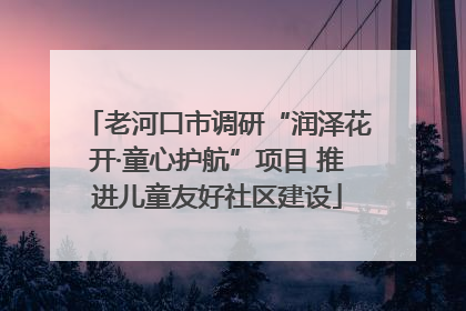 老河口市调研“润泽花开·童心护航”项目 推进儿童友好社区建设
