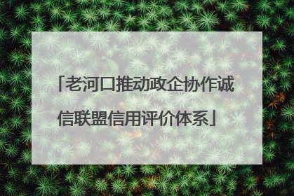 老河口推动政企协作诚信联盟信用评价体系