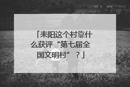 耒阳这个村靠什么获评“第七届全国文明村”？
