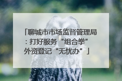 聊城市市场监督管理局：打好服务“组合拳” 外资登记“无忧办”