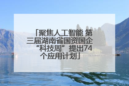 聚焦人工智能 第三届湖南省国资国企“科技周”提出74个应用计划