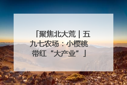 聚焦北大荒｜五九七农场：小樱桃带红“大产业”