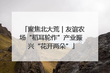 聚焦北大荒｜友谊农场“稻耳轮作”产业振兴“花开两朵”