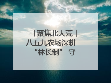 聚焦北大荒｜八五九农场深耕“林长制” 守护“生态绿”