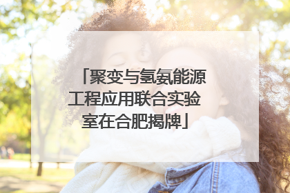 聚变与氢氨能源工程应用联合实验室在合肥揭牌