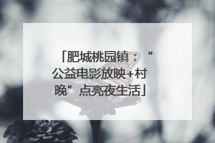 肥城桃园镇：“公益电影放映+村晚”点亮夜生活