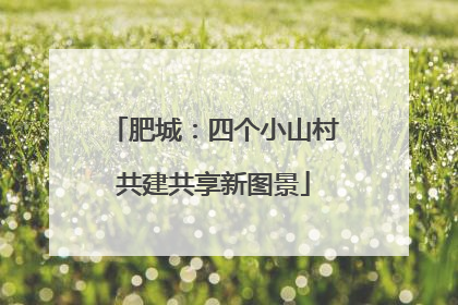 肥城：四个小山村共建共享新图景