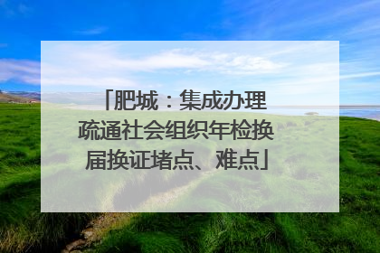 肥城：集成办理 疏通社会组织年检换届换证堵点、难点