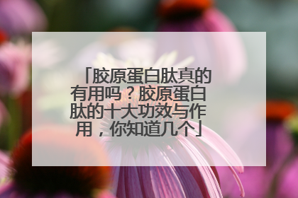 胶原蛋白肽真的有用吗？胶原蛋白肽的十大功效与作用，你知道几个
