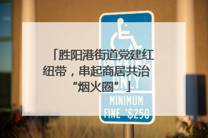 胜阳港街道党建红纽带，串起商居共治 “烟火圈”