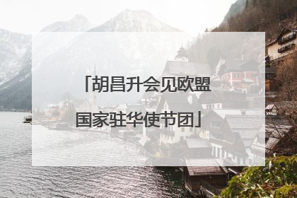 胡昌升会见欧盟国家驻华使节团