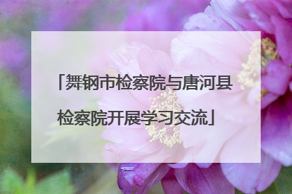 舞钢市检察院与唐河县检察院开展学习交流