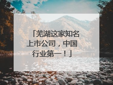 芜湖这家知名上市公司，中国行业第一！