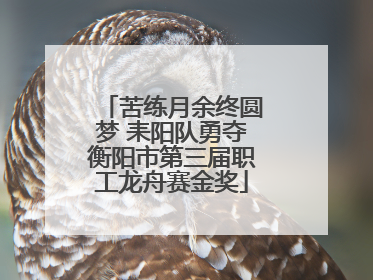 苦练月余终圆梦 耒阳队勇夺衡阳市第三届职工龙舟赛金奖