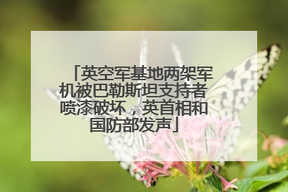 英空军基地两架军机被巴勒斯坦支持者喷漆破坏，英首相和国防部发声