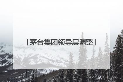 茅台集团领导层调整