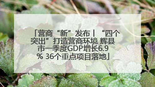 营商“新”发布丨“四个突出”打造营商环境 辉县市一季度GDP增长6.9% 36个重点项目落地
