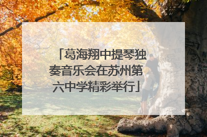 葛海翔中提琴独奏音乐会在苏州第六中学精彩举行