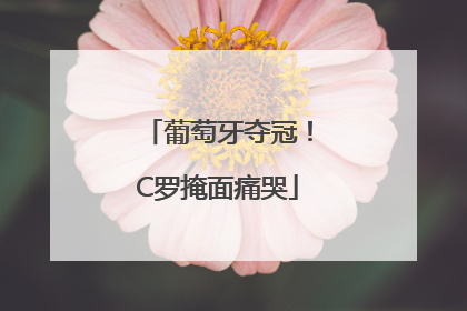 葡萄牙夺冠！C罗掩面痛哭