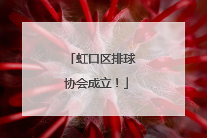 虹口区排球协会成立！