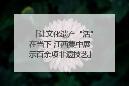 让文化遗产“活”在当下 江西集中展示百余项非遗技艺