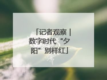 记者观察｜数字时代“夕阳”别样红