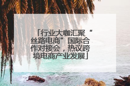 行业大咖汇聚“丝路电商”国际合作对接会，热议跨境电商产业发展