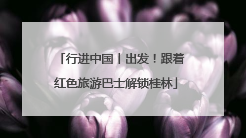 行进中国丨出发！跟着红色旅游巴士解锁桂林