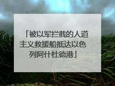 被以军拦截的人道主义救援船抵达以色列阿什杜德港