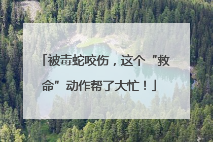被毒蛇咬伤，这个“救命”动作帮了大忙！