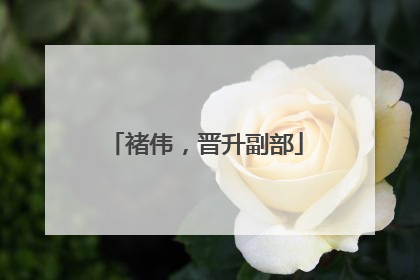 褚伟，晋升副部