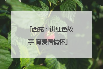 西充：讲红色故事 育爱国情怀