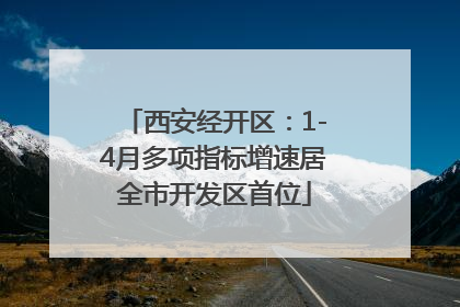 西安经开区：1-4月多项指标增速居全市开发区首位