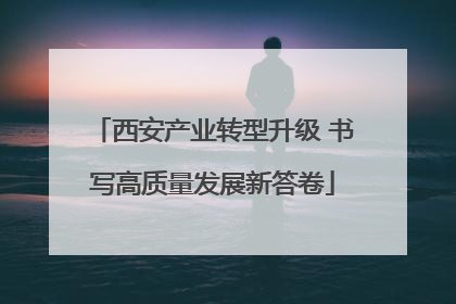 西安产业转型升级 书写高质量发展新答卷