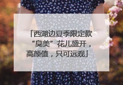 西湖边夏季限定款“臭美”花儿盛开，高颜值，只可远观